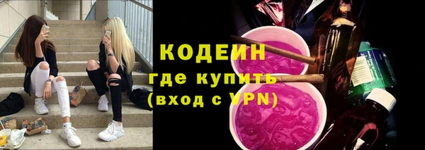 дурь Бородино