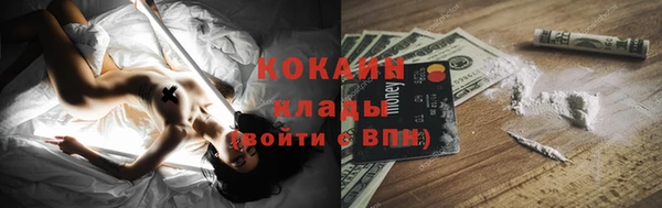 дурь Бородино