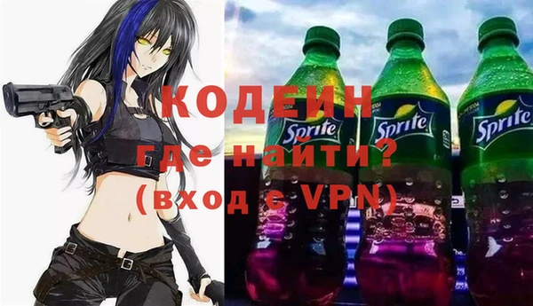 дурь Бородино