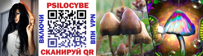 Псилоцибиновые грибы Magic Shrooms  Дальнереченск 